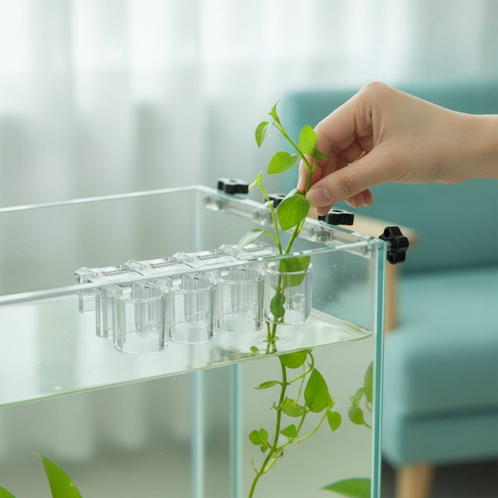 Aquarium Planted - 6개 수족관 플랜터 투명 수경 재배