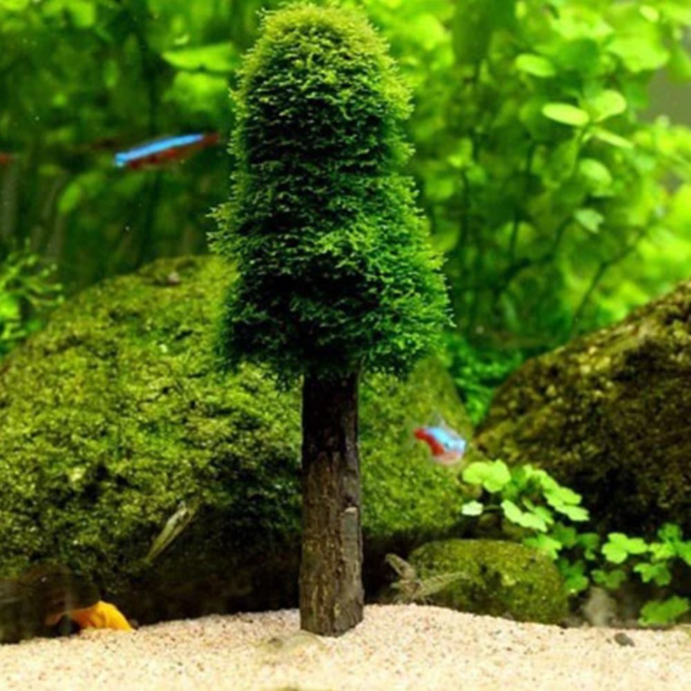 Planted Aquarium Moss - 시뮬레이션 크리스마스 트리 수족관 이끼 식물