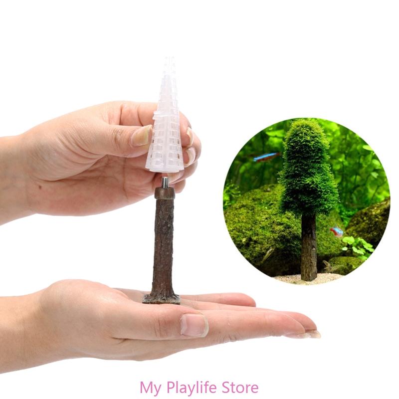 Planted Aquarium Moss - 수족관 이끼 장식 어항 식물 거치대,