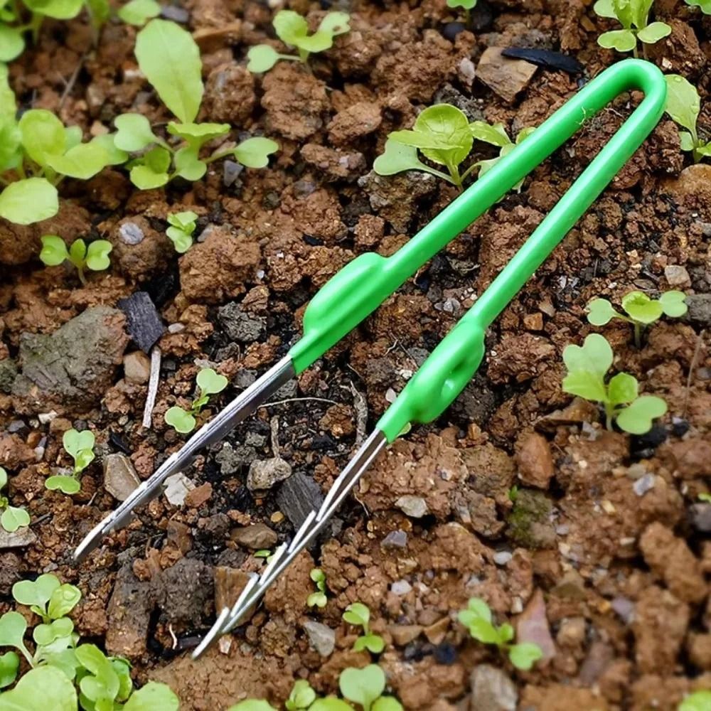 Planted Clip Tweezers - 스테인레스 스틸 원예용 핀셋 견고한 스테인레스
