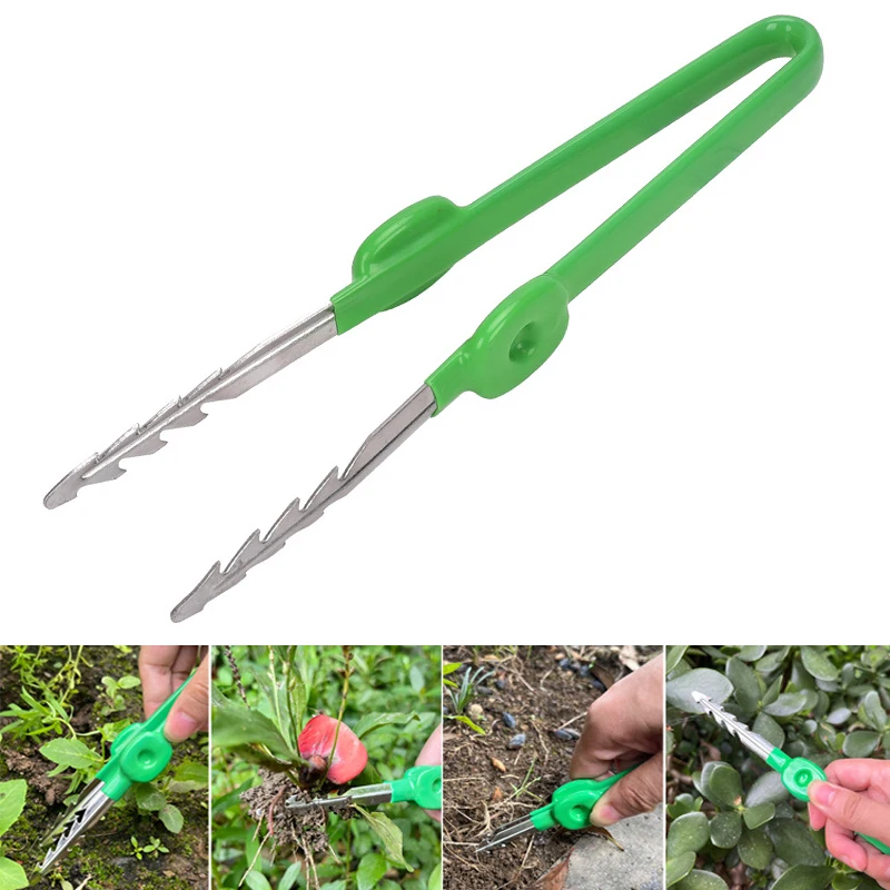 Planted Clip Tweezers - 1Pc 원예 족집게 즙이 많은 식물