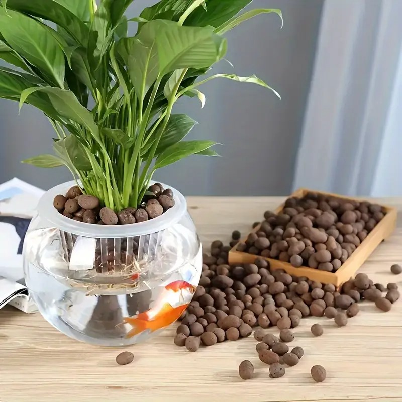 수족관 장식, 수생 식물 재배, 다육 식물 및 분재용  - Aquarium Planted 리뷰 및 가격
