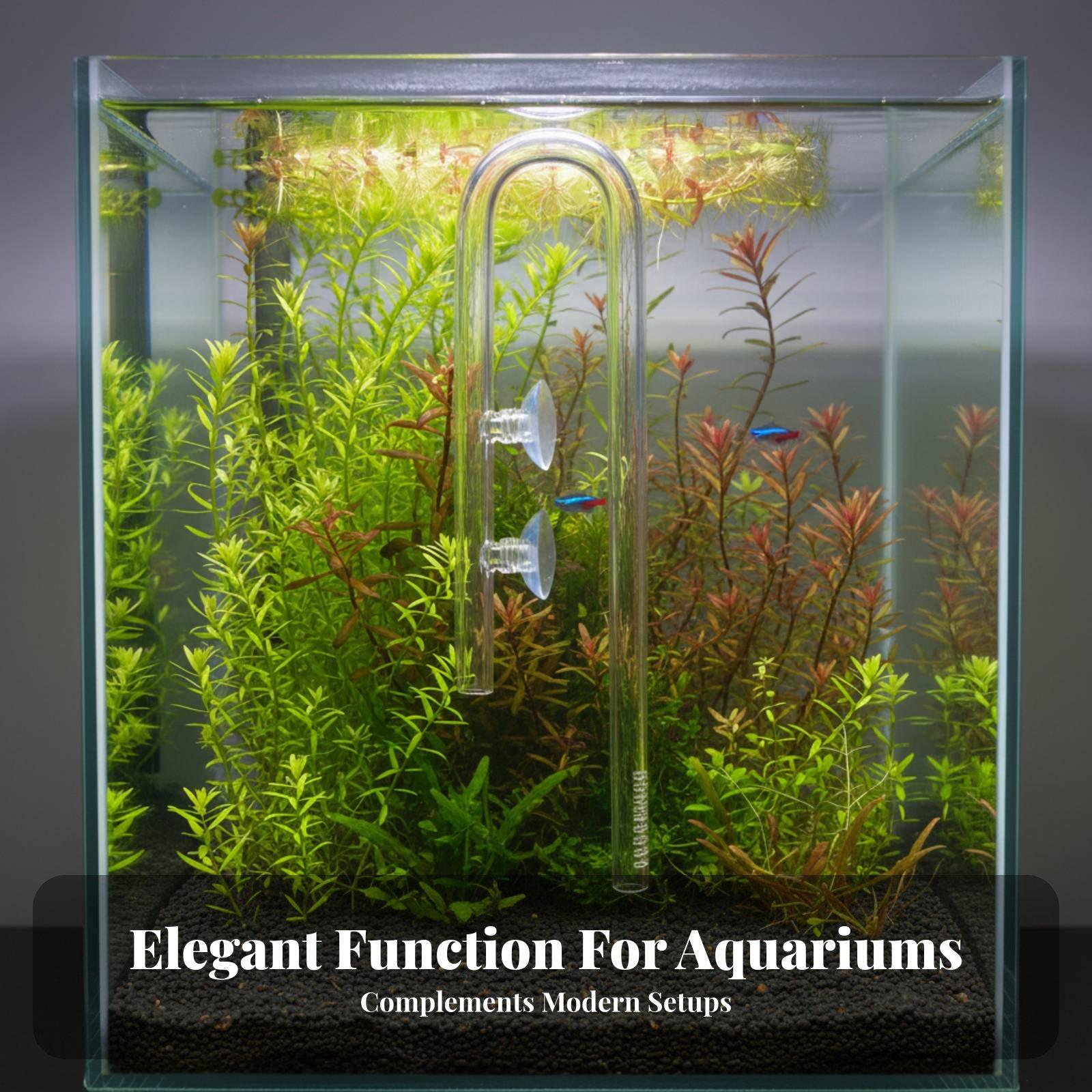 우아한 수중 유입 유리 릴리 파이프 수족관 물 유입 장 - Aquarium Plant Nutrients 리뷰 및 가격