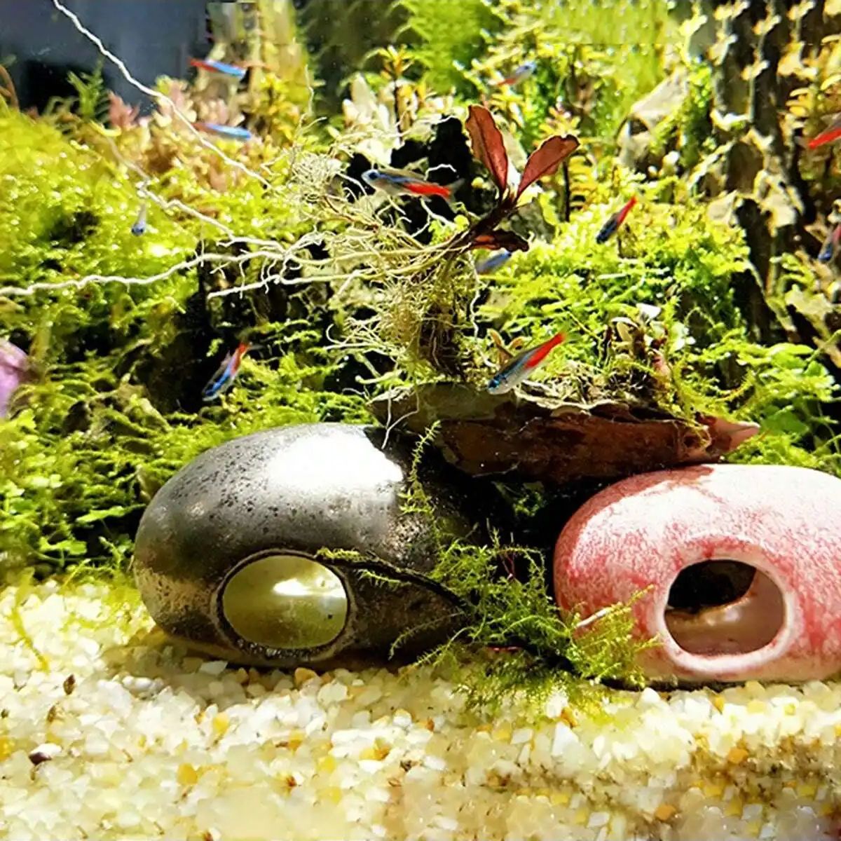 1pc-250g 천연 크리스탈 자갈 돌 마이크로 조경  - Planted Aquarium With Gravel 리뷰 및 가격