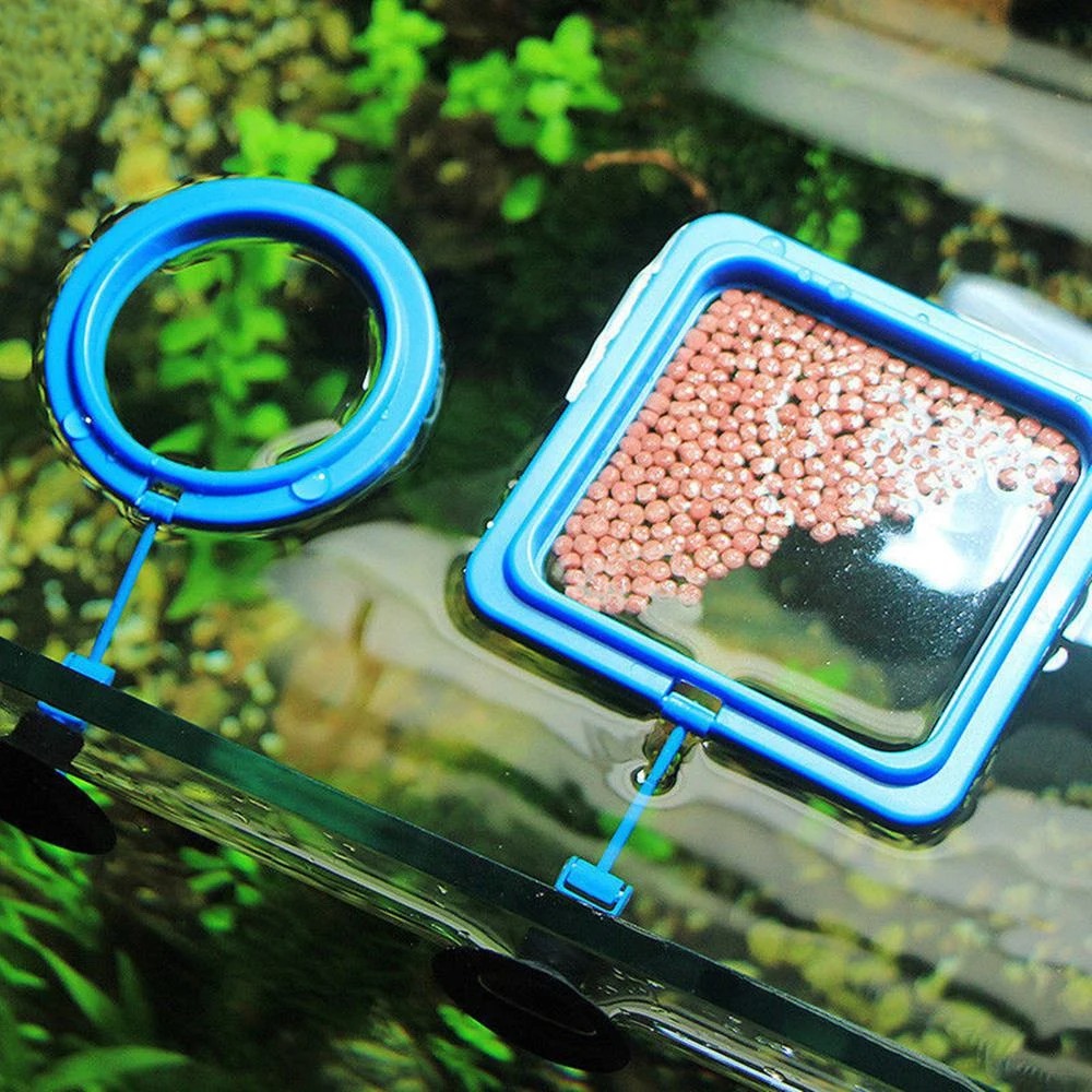 수족관 먹이 고리 물고기 탱크 스테이션 플로팅 식품 트 - Aquarium Plant Nutrients 리뷰 및 가격