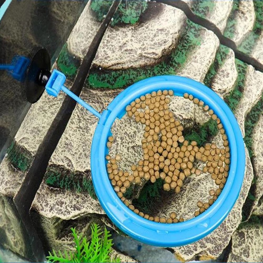 수족관 먹이 고리 물고기 탱크 스테이션 플로팅 식품 트 - Aquarium Plant Nutrients 리뷰 및 가격