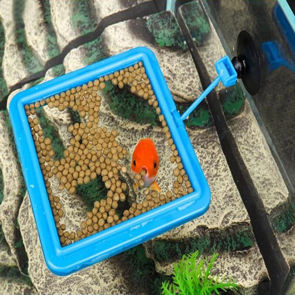 수족관 먹이 고리 물고기 탱크 스테이션 플로팅 식품 트 - Aquarium Plant Nutrients 리뷰 및 가격