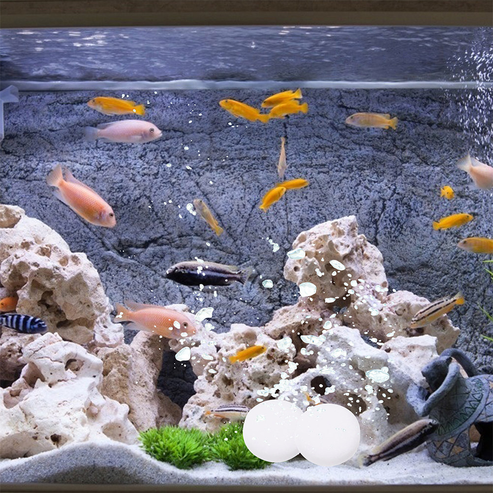 3봉지 CO2 태블릿 수족관 식물 및 어항 물 영양 공 - Aquarium Plant Nutrients 리뷰 및 가격