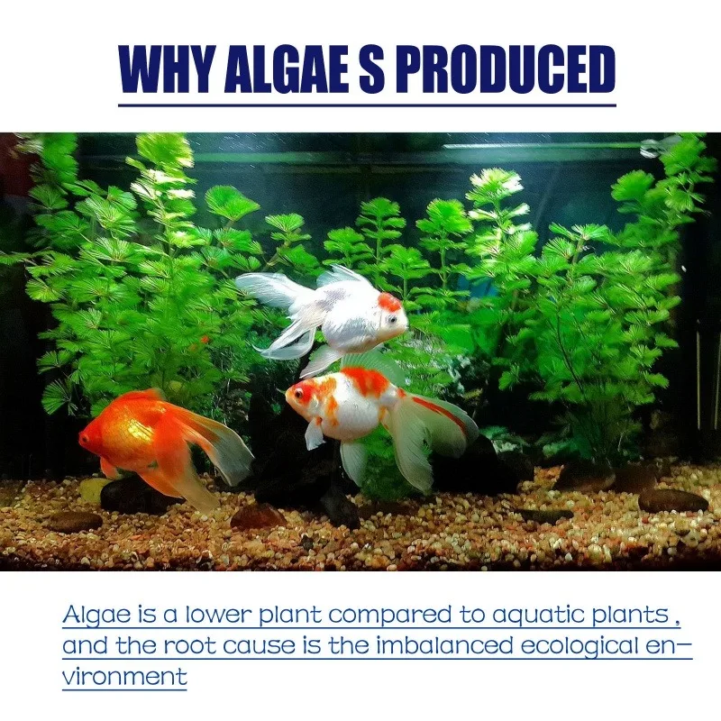 50g 고효율 수족관 연못 조류 및 이끼 제거제, 녹조 - Planted Aquarium Algae 리뷰 및 가격