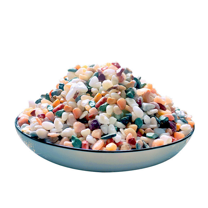 5mm 천연 수족관 모래 200g-800g 물고기 탱크 - Planted Aquarium With Gravel 리뷰 및 가격