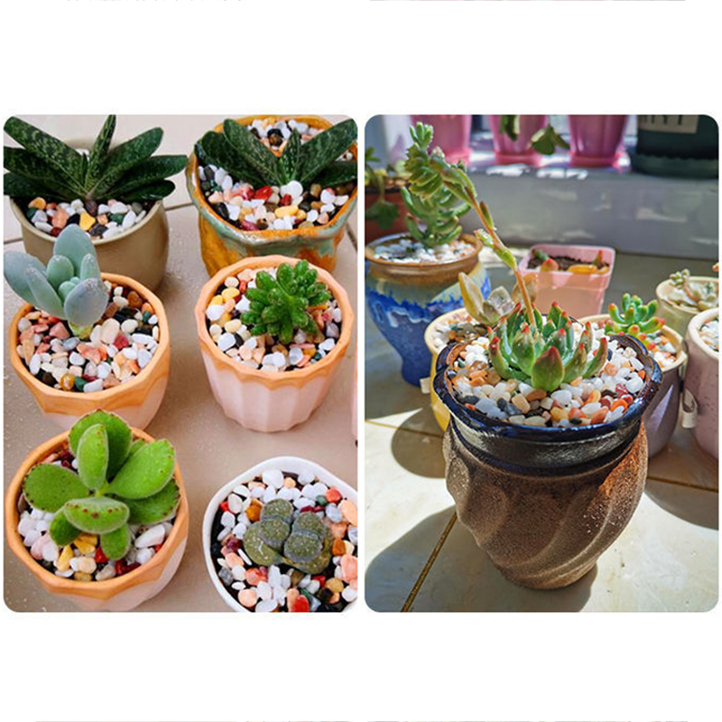 5mm 천연 수족관 모래 200g-800g 물고기 탱크 - Planted Aquarium With Gravel 리뷰 및 가격