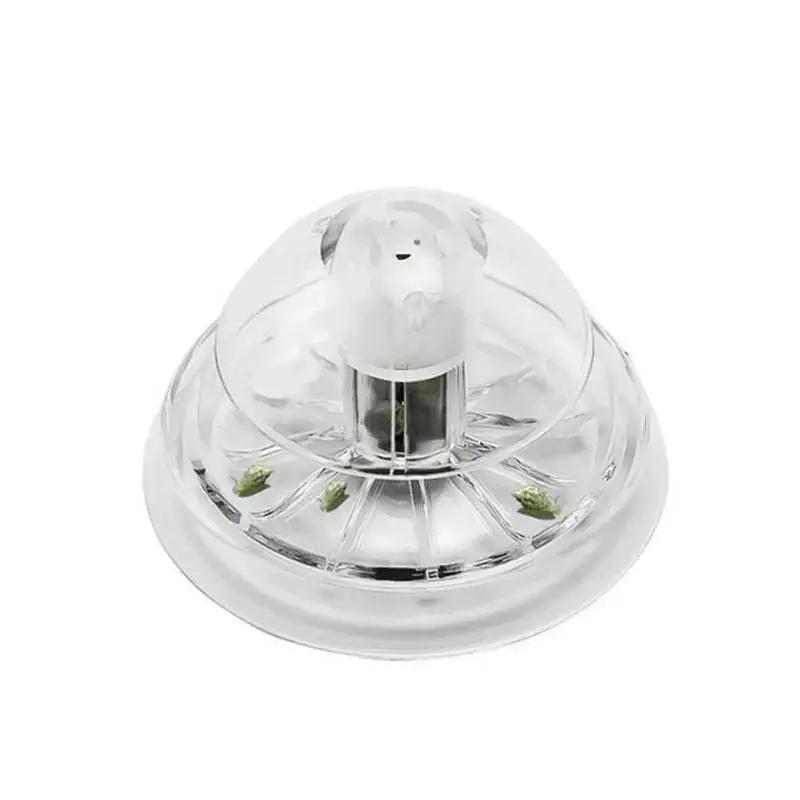 2026년형 새로운 6/8CM 투명 플라스틱 달팽이 트 - Aquarium Planted 리뷰 및 가격