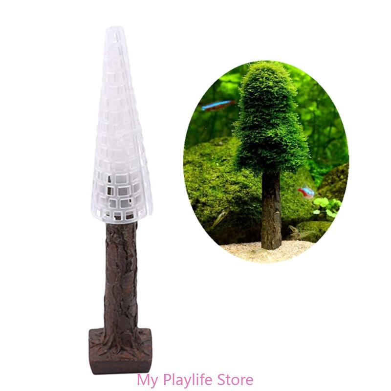 수족관 이끼 장식 어항 식물 거치대, 나만의 미니 나무 - Planted Aquarium Moss 리뷰 및 가격