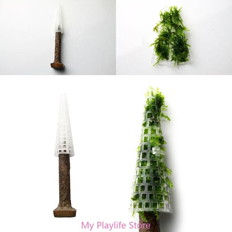 수족관 이끼 장식 어항 식물 거치대, 나만의 미니 나무 - Planted Aquarium Moss 리뷰 및 가격