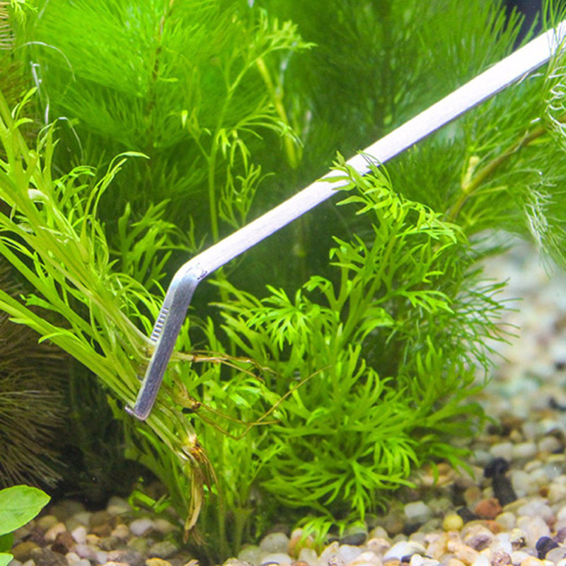 전문 수족관 관리 도구 키트, 어항 청소용 핀셋, 가위 - Planted Aquarium Maintenance Kit 리뷰 및 가격