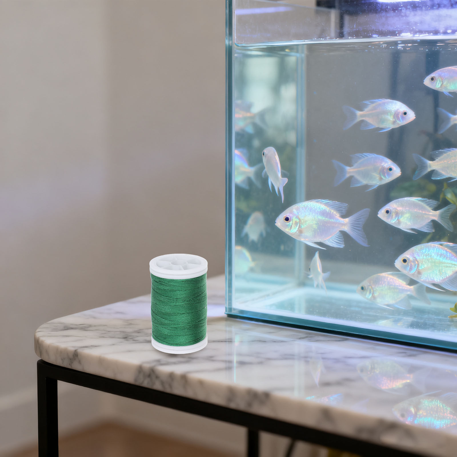 수족관 이끼 걸이식 수초 수중 부착 홀더 녹색 낚싯줄  - Planted Aquarium Moss 리뷰 및 가격