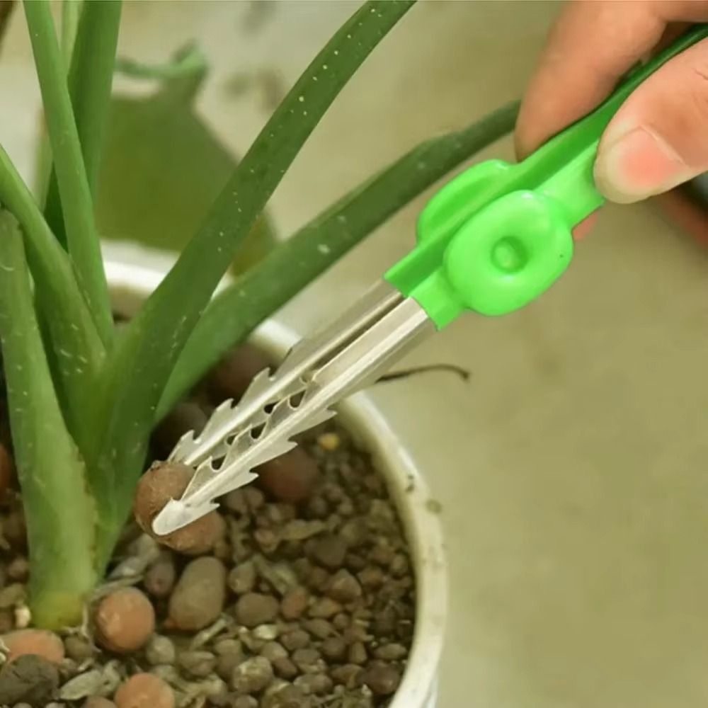 스테인리스 스틸 원예용 핀셋 견고한 스테인리스 스틸 정 - Planted Clip Tweezers 리뷰 및 가격
