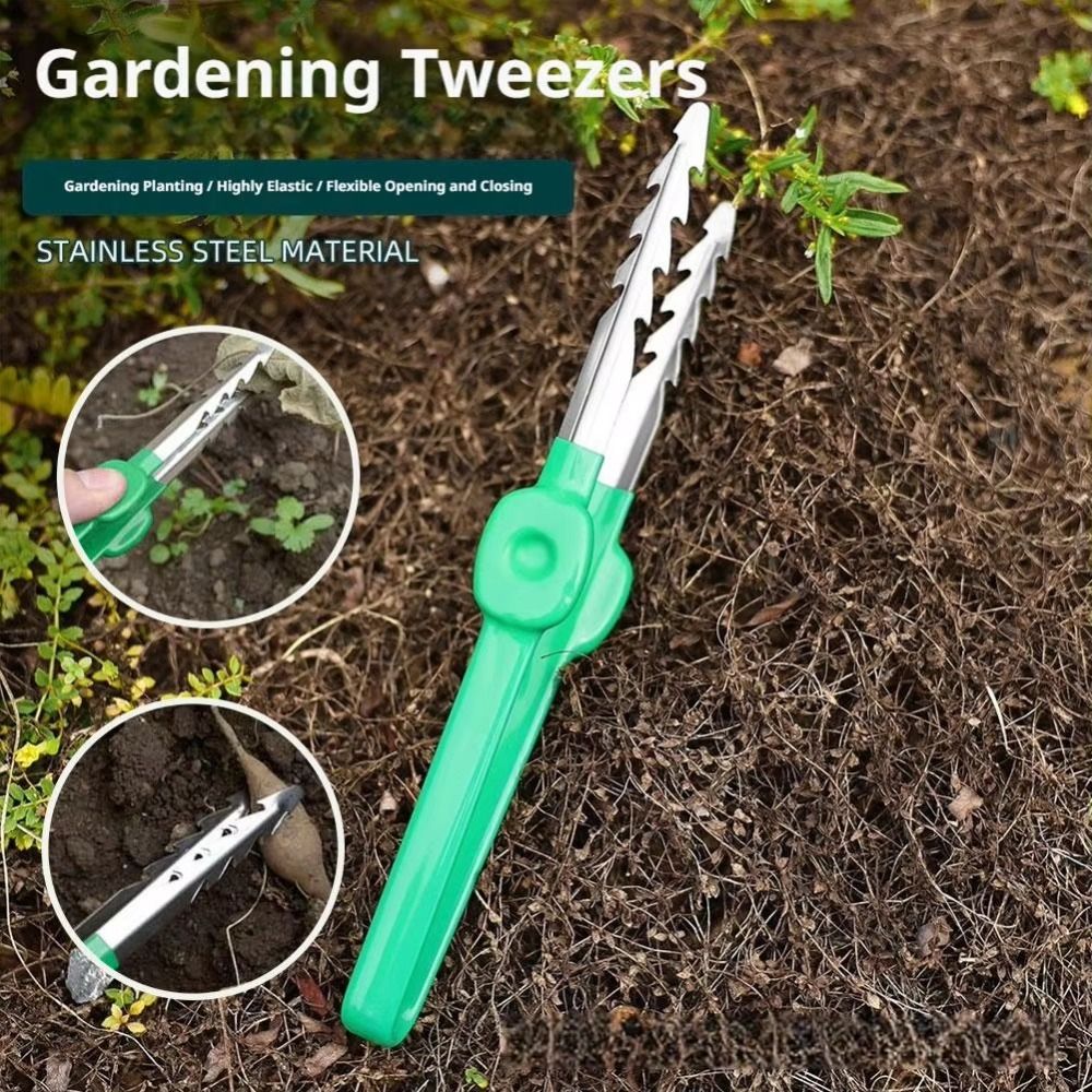 스테인리스 스틸 원예용 핀셋 견고한 스테인리스 스틸 정 - Planted Clip Tweezers 리뷰 및 가격