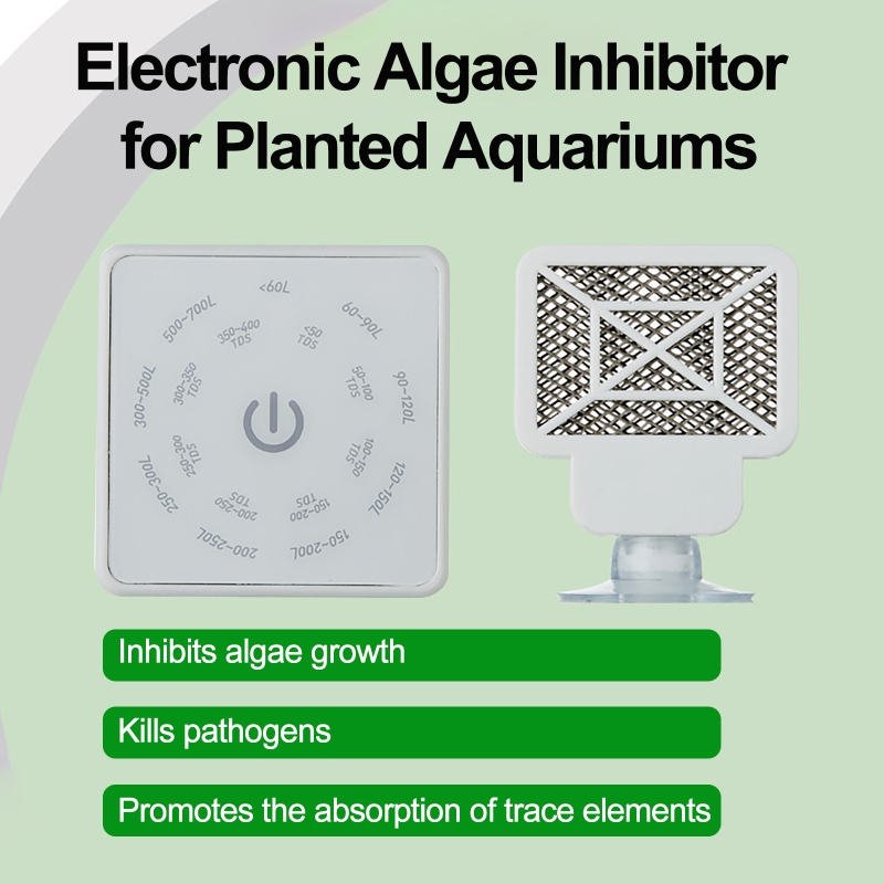 전자식 수족관 어항 청소 도구 전자식 조류 억제제 제거 - Planted Aquarium Algae 리뷰 및 가격
