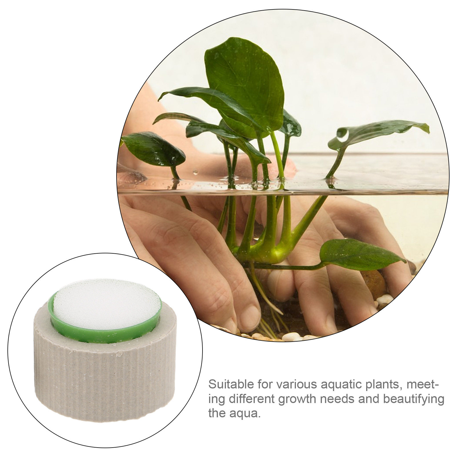 9개 세라믹 수족관 식물 고정 링 세트, 수생 식물의  - Aquarium Plant Nutrients 리뷰 및 가격