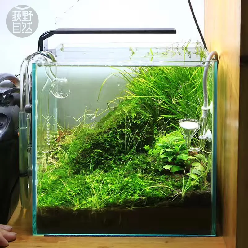 Chihiros C 시리즈 ADA 스타일 식물 성장 L - Aquarium Plant Grow Light 리뷰 및 가격