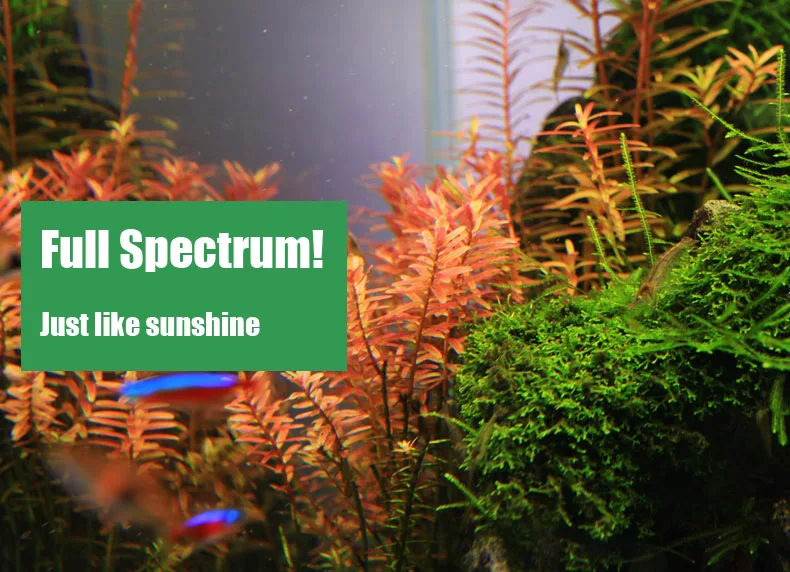 Chihiros C 시리즈 ADA 스타일 식물 성장 L - Aquarium Plant Grow Light 리뷰 및 가격