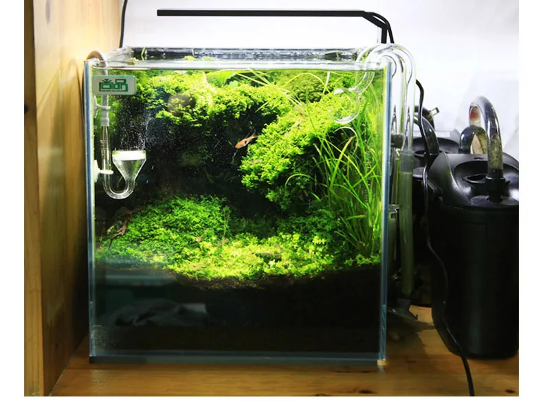 Chihiros C 시리즈 ADA 스타일 식물 성장 L - Aquarium Plant Grow Light 리뷰 및 가격