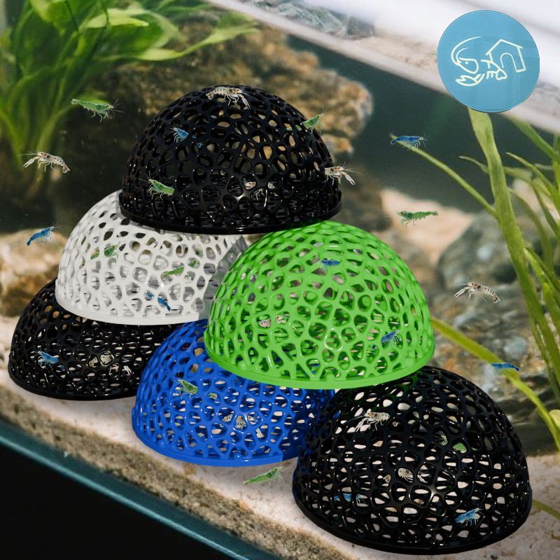 어항 은신처 작은 물고기 새우 번식 휴식 놀이용 동굴  - Planted Aquarium Moss 리뷰 및 가격