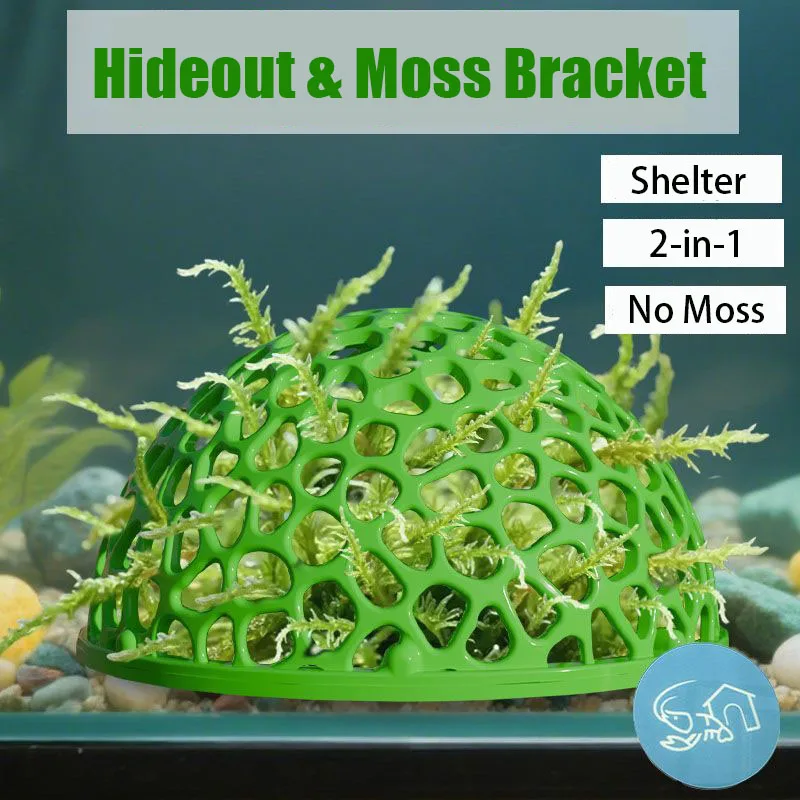 어항 은신처 작은 물고기 새우 번식 휴식 놀이용 동굴  - Planted Aquarium Moss 리뷰 및 가격