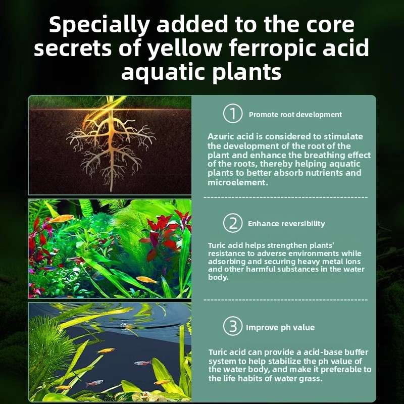 수족관 식물 비료 - 수초 수조를 위한 완벽한 액체 및 - Aquarium Plant Liquid Fertilizer 리뷰 및 가격