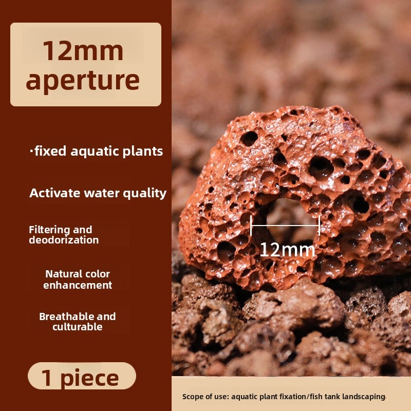 레드 라바 록 플랜팅 링 – 카펫형 식물용 천공된 수족 - Planted Aquarium Carpet Plant 리뷰 및 가격