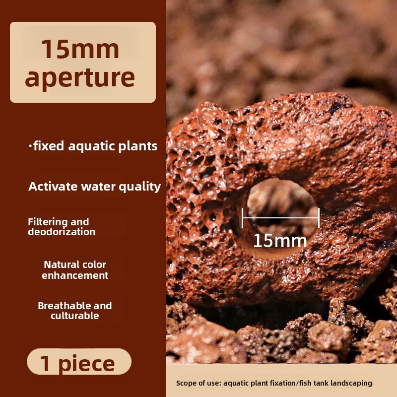 레드 라바 록 플랜팅 링 – 카펫형 식물용 천공된 수족 - Planted Aquarium Carpet Plant 리뷰 및 가격