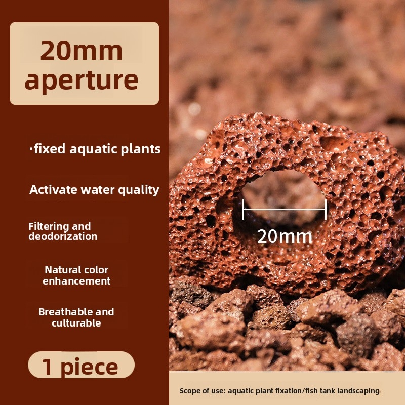 레드 라바 록 플랜팅 링 – 카펫형 식물용 천공된 수족 - Planted Aquarium Carpet Plant 리뷰 및 가격
