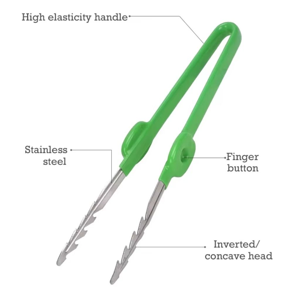 스테인레스 스틸 원예용 핀셋 견고한 스테인레스 스틸 다 - Planted Clip Tweezers 리뷰 및 가격