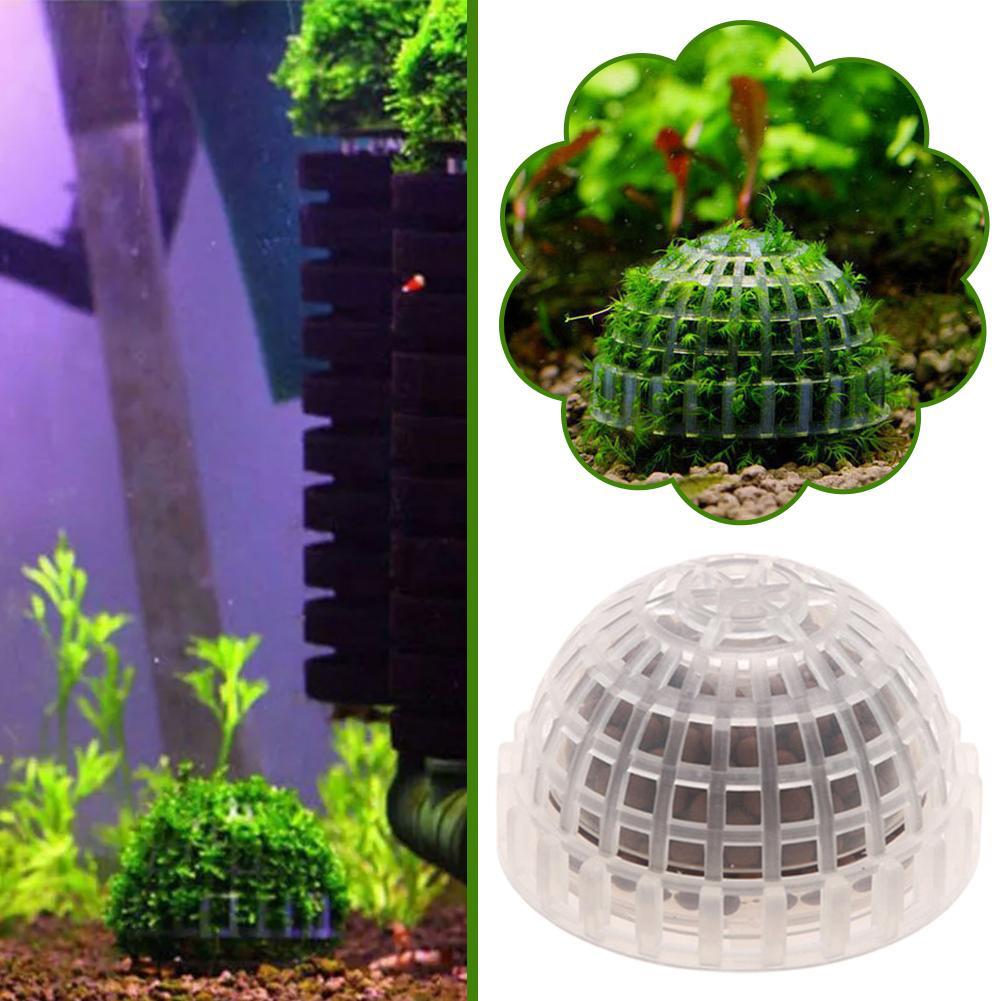 1/2/3/4/5PCS 수족관 장식 식물 바이오 모스  - Planted Aquarium Moss 리뷰 및 가격