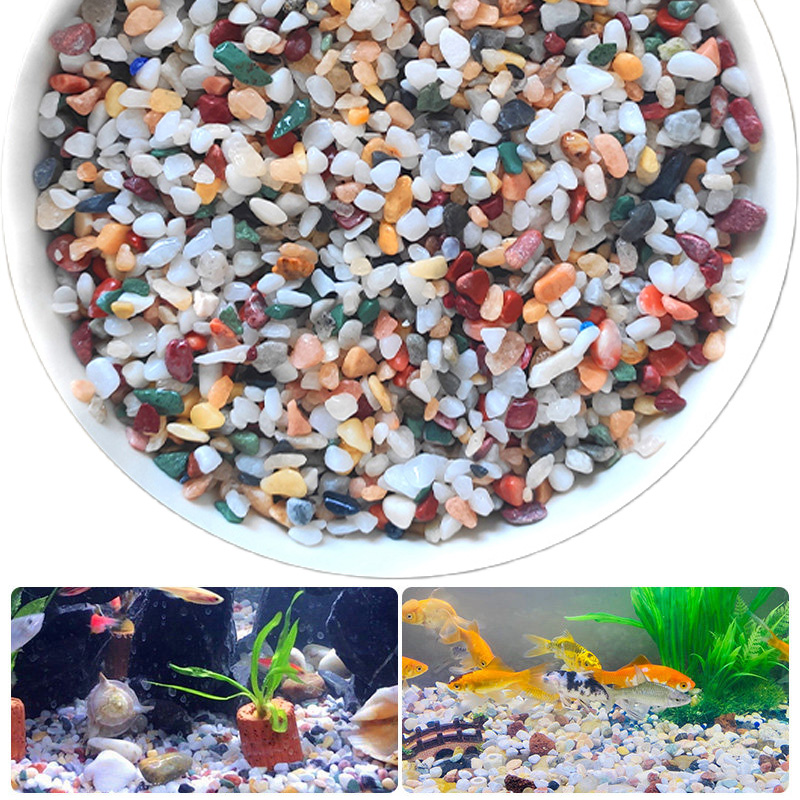 천연 자갈석 200~1000g 마이크로 조경 정원 수족 - Planted Aquarium With Gravel 리뷰 및 가격