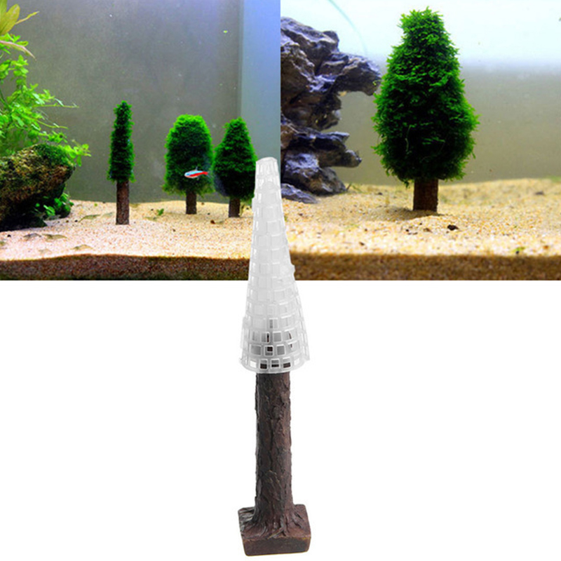 수족관 탱크 조경 장식, 수족관 조경 장식 시뮬레이션, - Planted Aquarium Moss 리뷰 및 가격