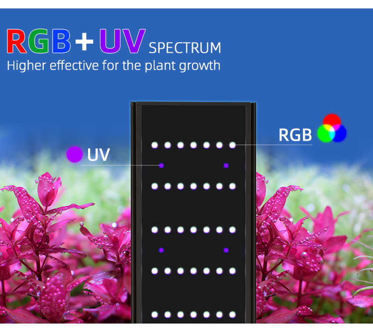WEEK AQUA L 시리즈 앱 제어 조광기 및 타이머 - Aquarium Plant Grow Light 리뷰 및 가격