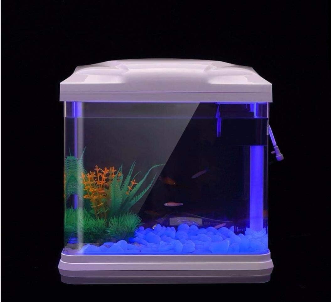 물고기 탱크 바위 정원 물고기 탱크 수족관 식물 냄비  - Aquarium Planted 리뷰 및 가격