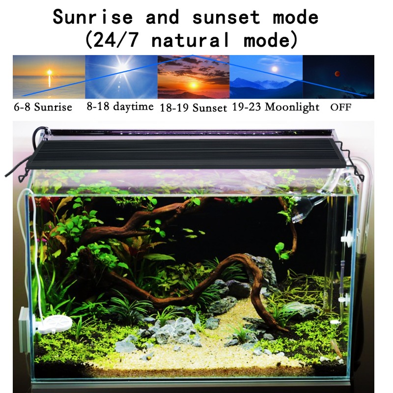LED 어항 조명 풀 스펙트럼 식물/어초 수족관 램프  - Aquarium Plant Grow Light 리뷰 및 가격