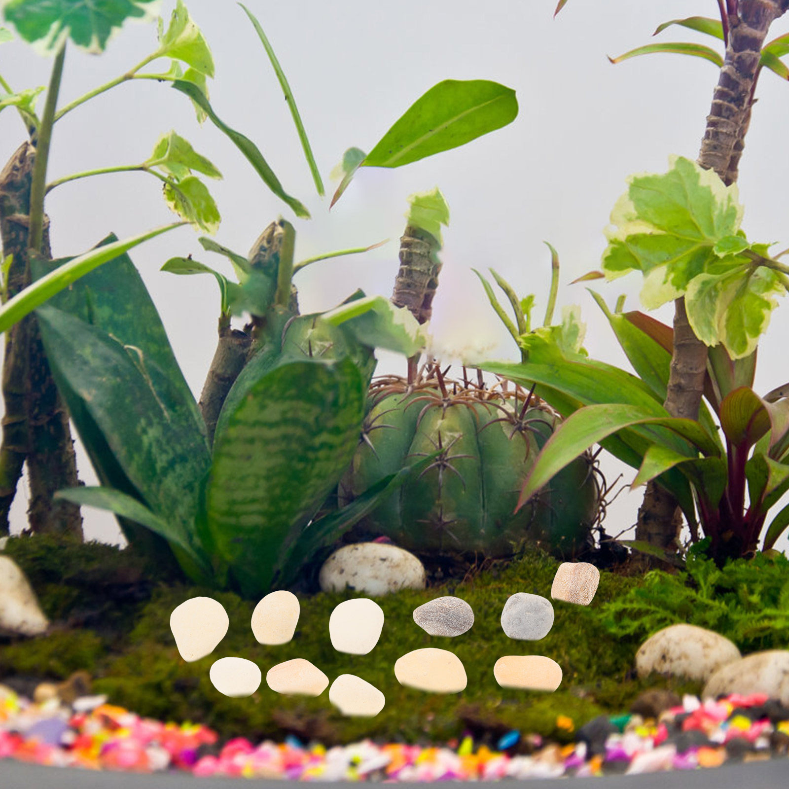 자연 조경용 자갈 어항 물고기 탱크 장식용 돌 밝은 다 - Planted Aquarium With Gravel 리뷰 및 가격
