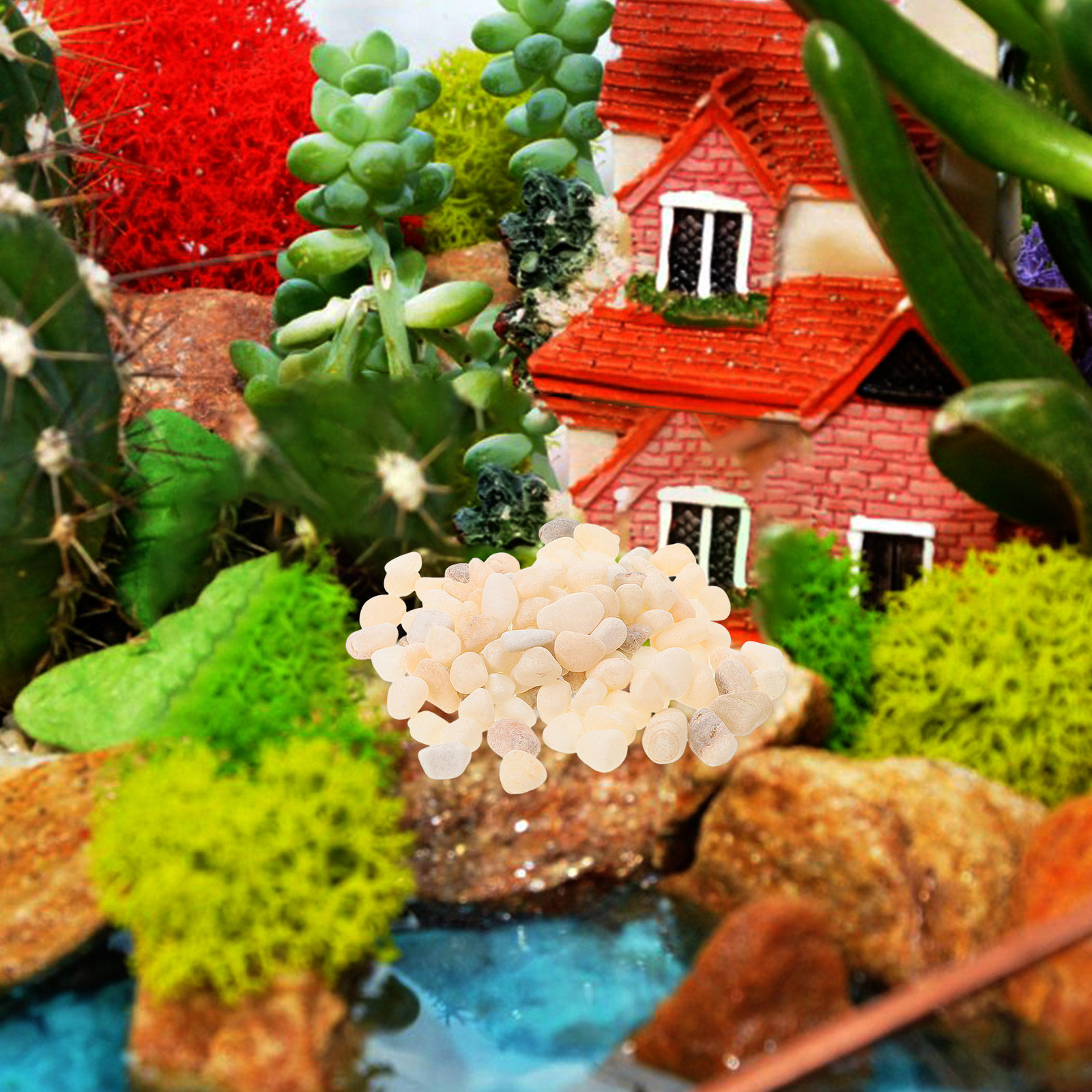 자연 조경용 자갈 어항 물고기 탱크 장식용 돌 밝은 다 - Planted Aquarium With Gravel 리뷰 및 가격