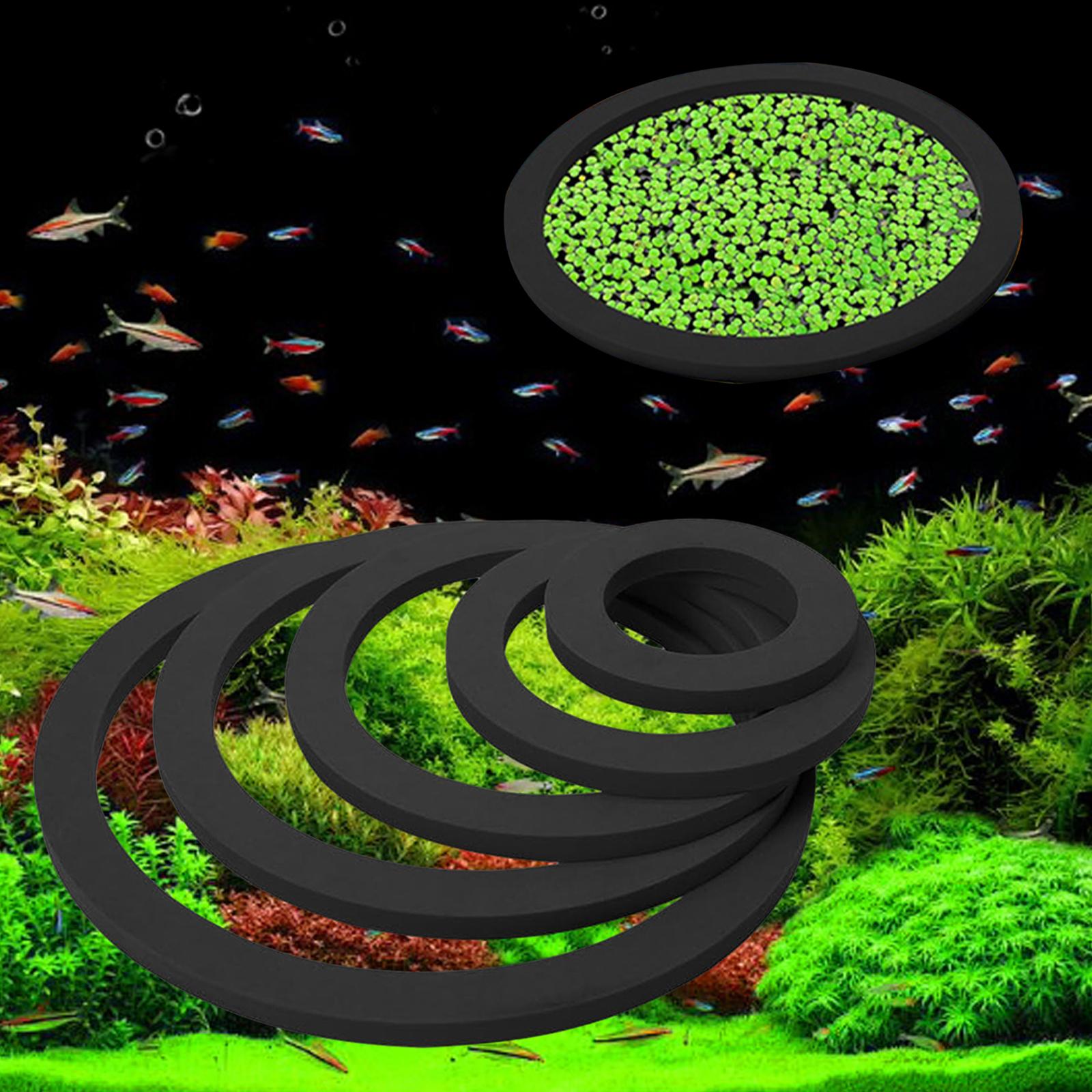 수족관 부유식 식물 링 EVA 액세서리 (어항 내 식품 - Aquarium Plant Nutrients 리뷰 및 가격