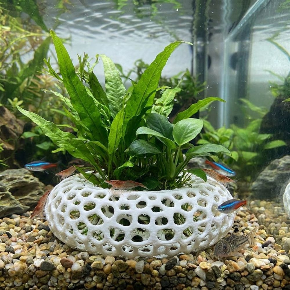 3D 프린팅 물고기 새우 은신처 넓은 시야의 다공성 구 - Planted Aquarium Moss 리뷰 및 가격